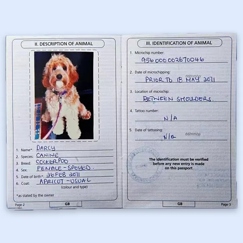 2024 folleto personalizado barato impresión cachorro Animal certificado gato perro mascota pasaporte