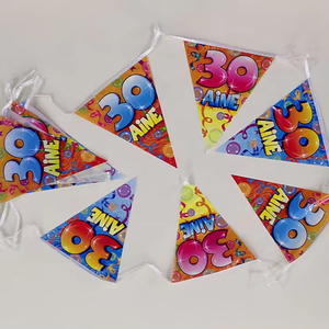 High Quality Plastic <strong>Customized</strong> Design Pennants <strong>String</strong> <strong>Flag</strong> <strong>Triangle</strong> <strong>Bunting</strong> Banner for Decoration - Product Image 2