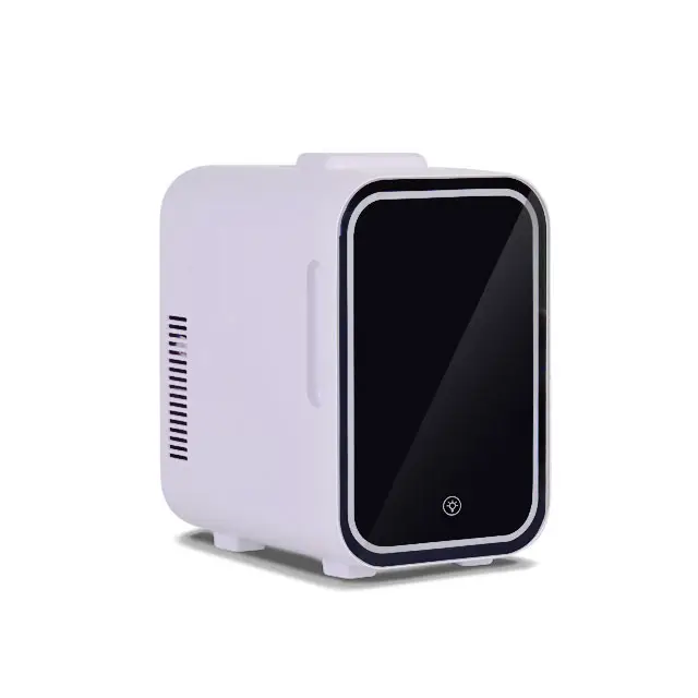 Taşınabilir güzellik cilt bakımı 8L makyaj kozmetik MINI buzdolabı ile LED için aynalı kapı buzdolabı ev masaüstü