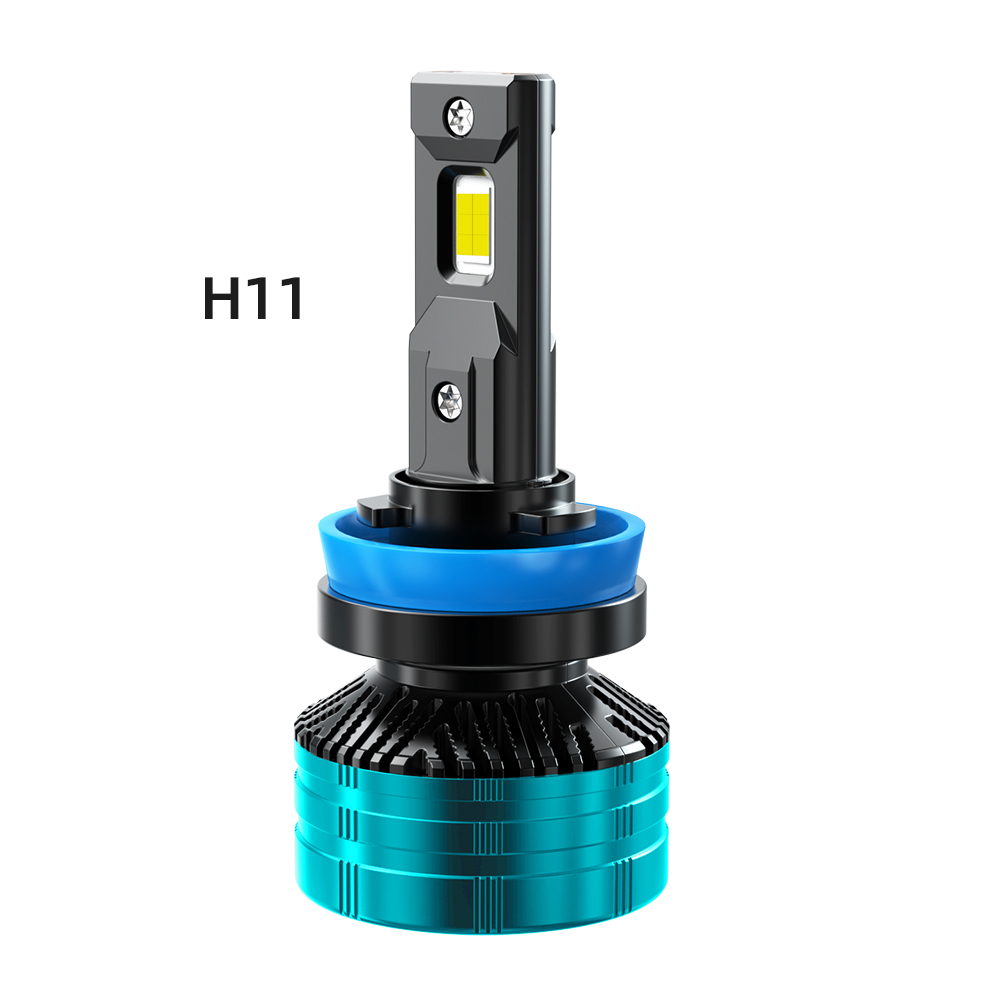 H11