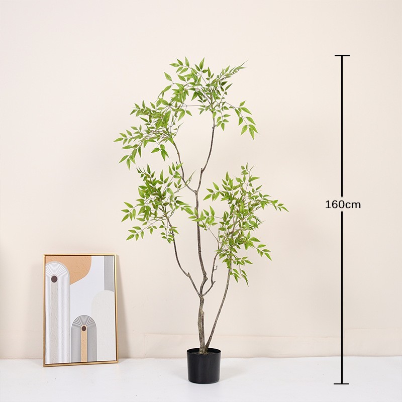 Nandina domestica verte - 160 cm