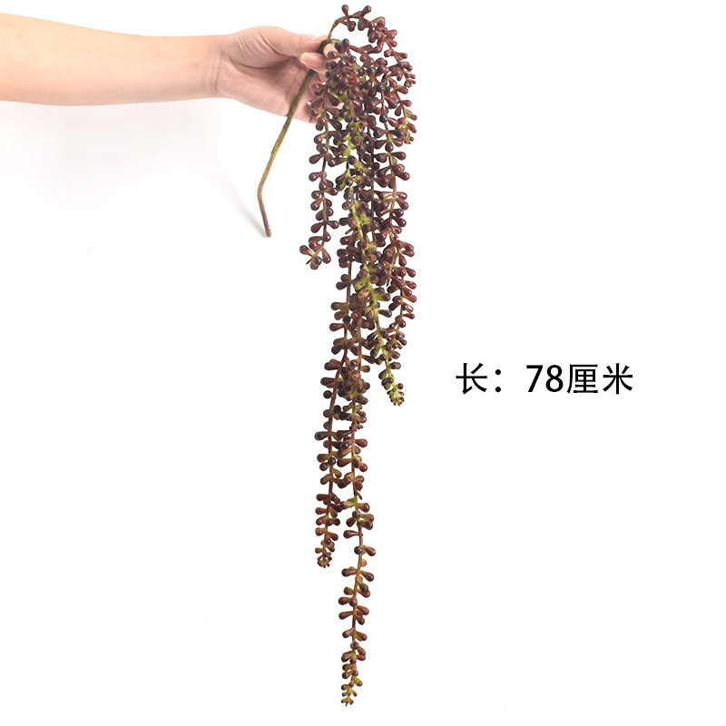 String of Pearls (couleur café, grandes branches)