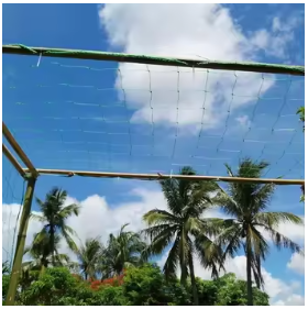 Factory 19mm Hole HDPE Plastic Anti-Bird Netting for Garden &amp; Agriculture Durable Mesh With Cutting Service <strong>Protection</strong> Feature - Product Image 4