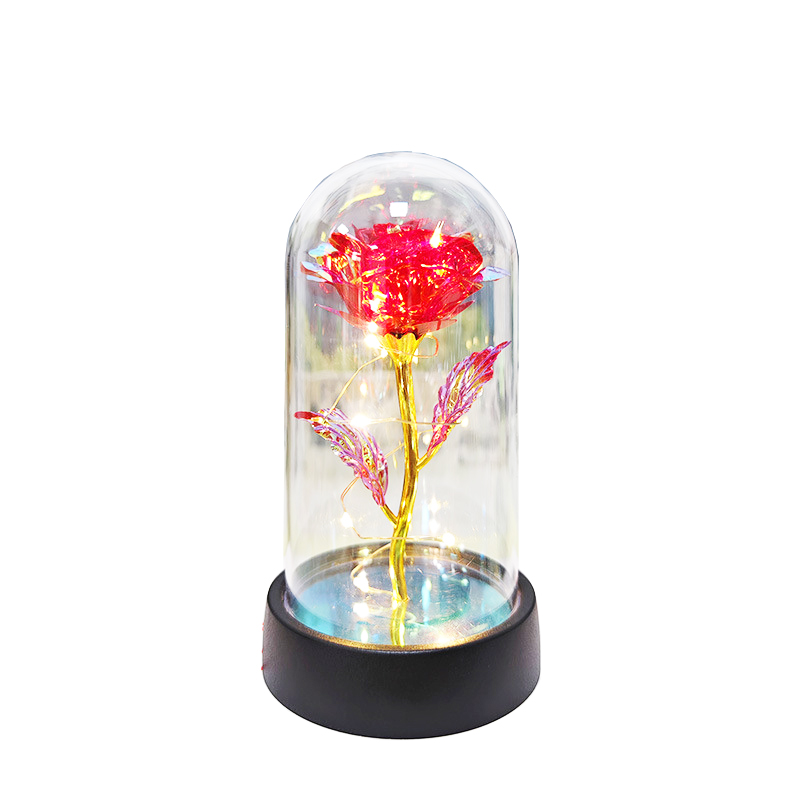 Red flower + warm white light
