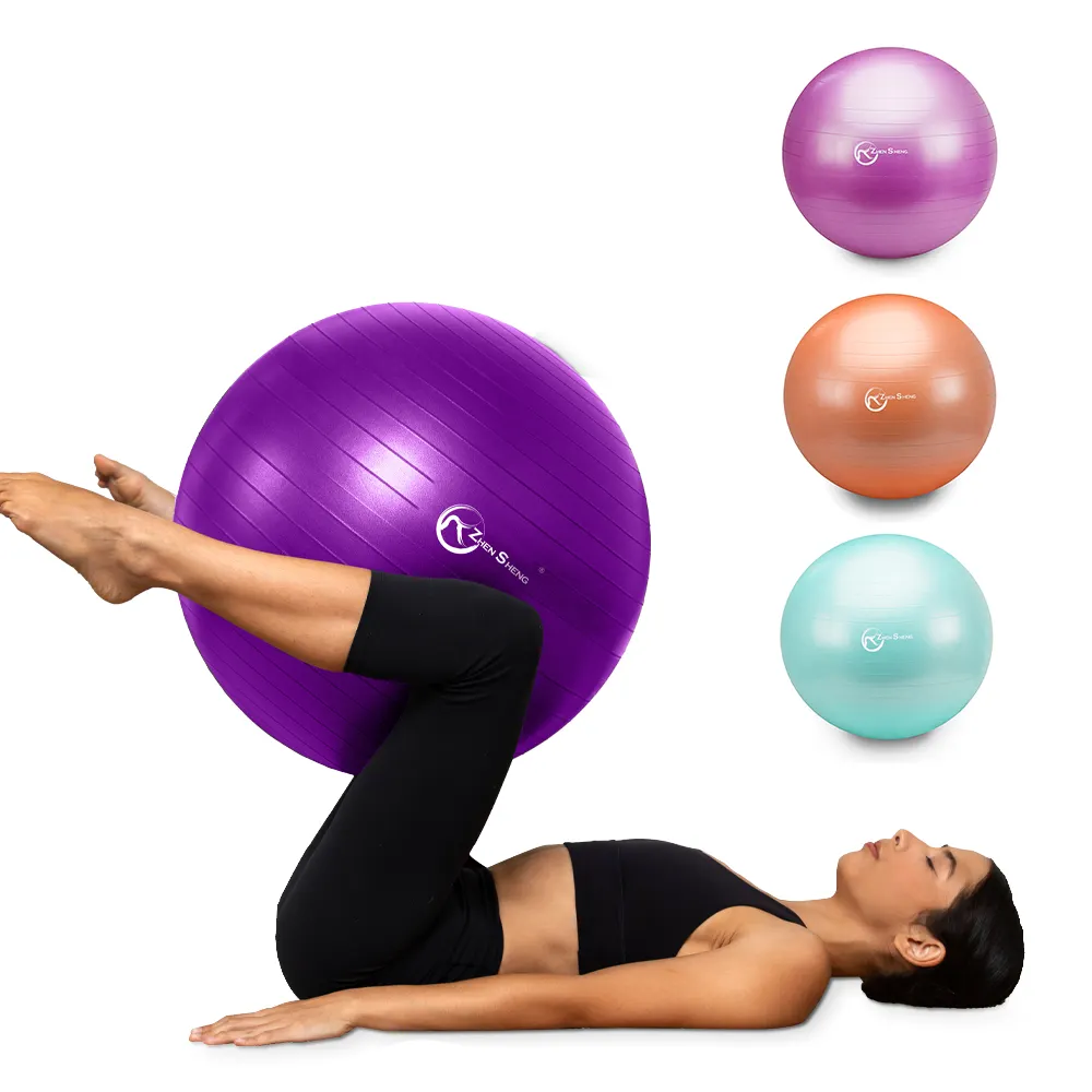 Zhensheng individueller logo yoga-ball fitnessstudio trainingsball fitnessgeräte fitnessstudio trainingszubehör pilatesball