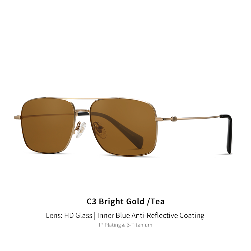 C3 nero argento/marrone