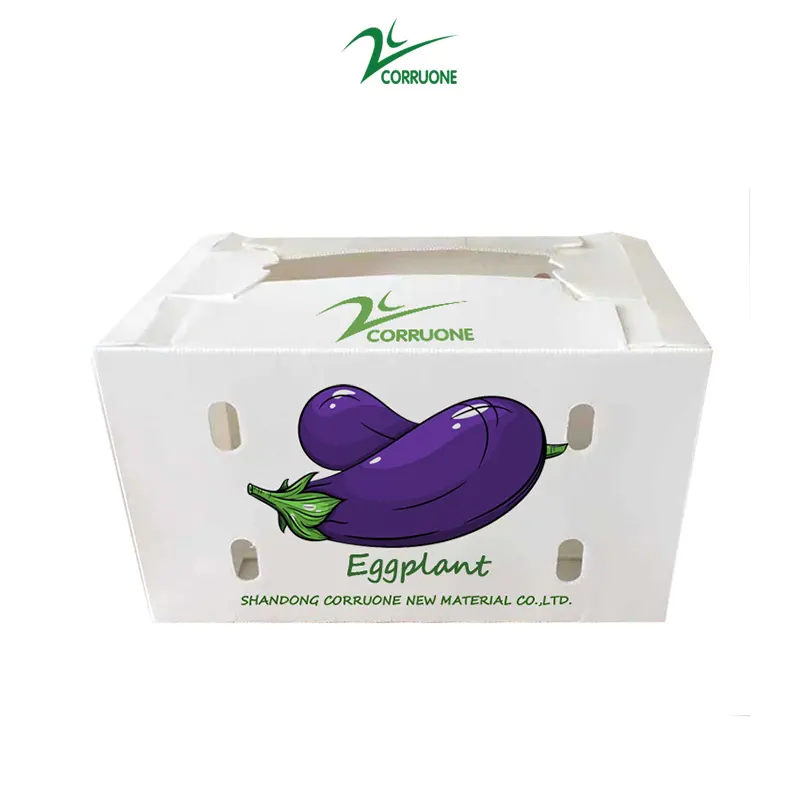 Emballage pliable personnalisé pour fruits légumes PP Cartonplast raisins \ brocoli \ emballage de gingembre feuille ondulée en plastique