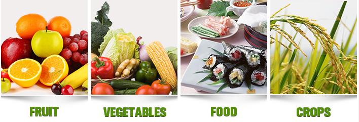 HiBong 100% Water Soluble Industrial grade sulfate Magnesium Sulphate Heptahydrate