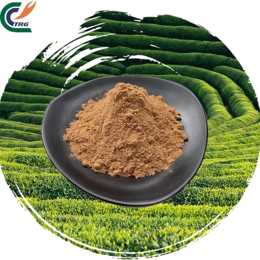 Polyphenols powder supplement polyphenols extract tea extract Green tea extract