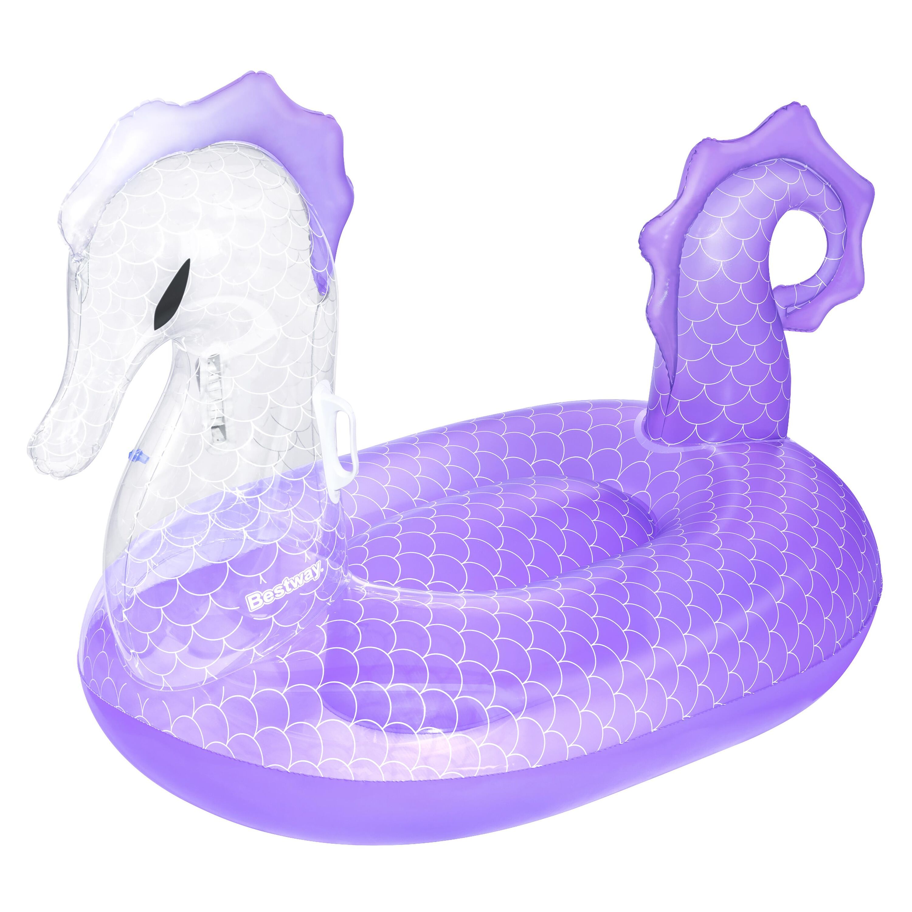 Viola