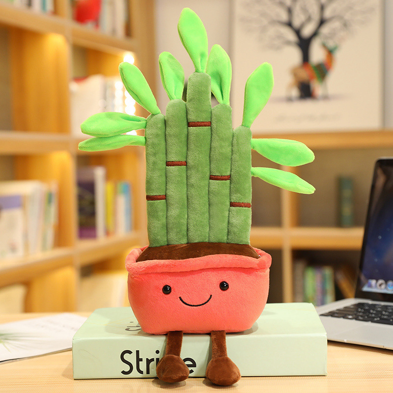 Red lucky bamboo-25 cm-014 kg