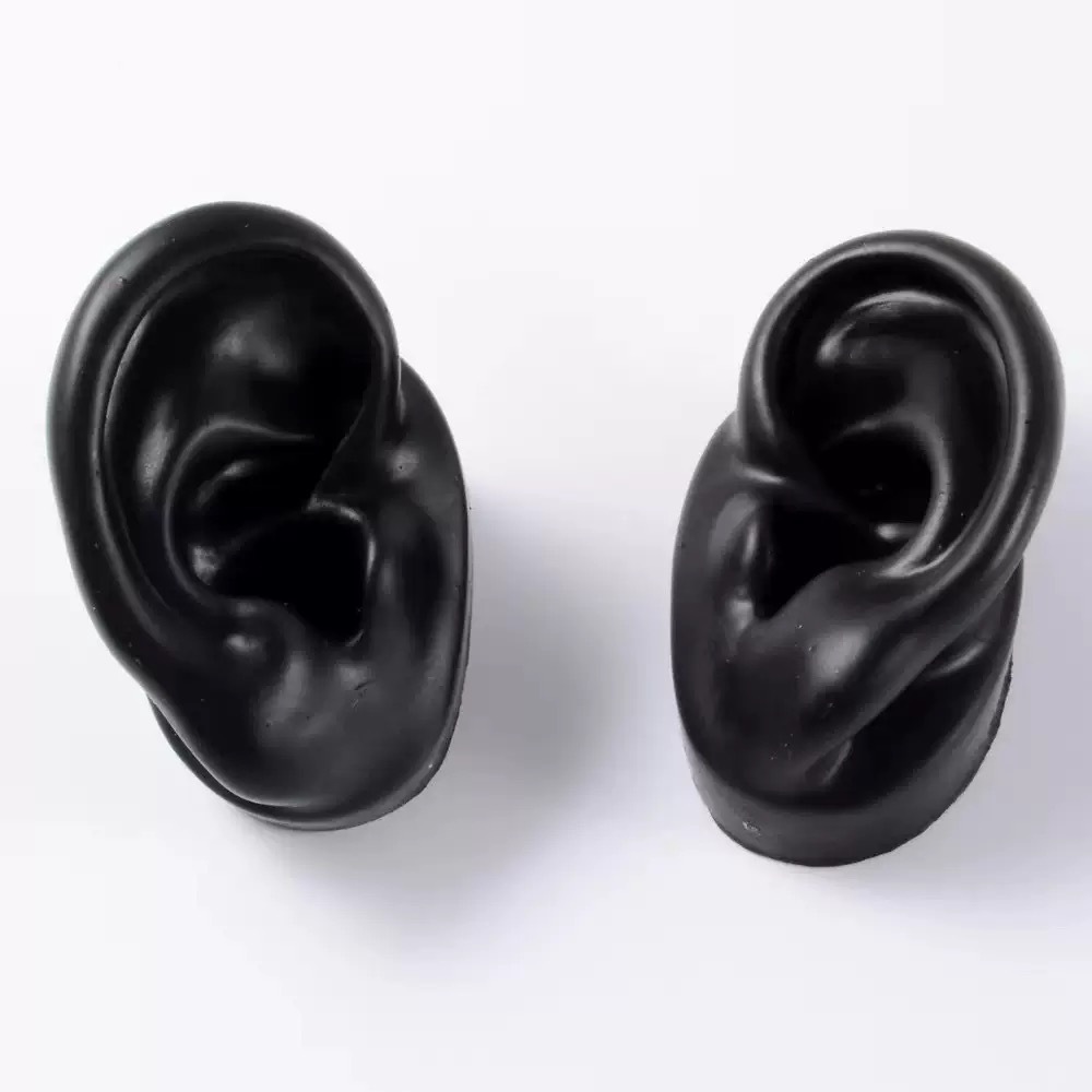 Oreille droite noire avec support