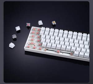Teclado mecánico LED retroiluminado para juegos de ordenador de oficina en casa de 100 teclas - Product Image 5