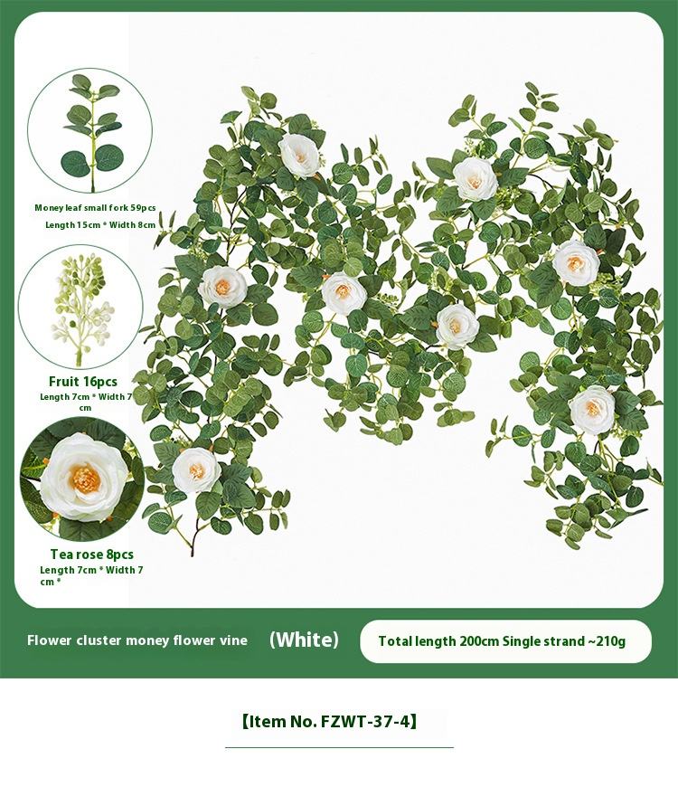 Flower cluster money flower vine