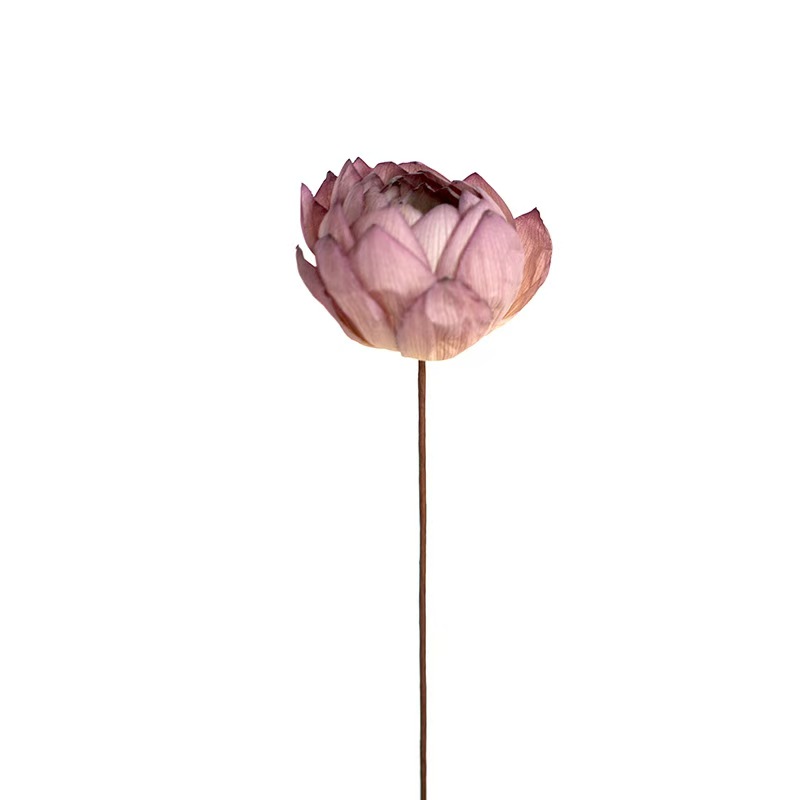 Artificial-stem Double-petaled Lotus