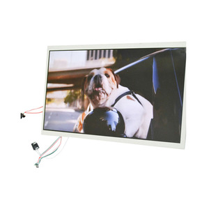 10.1 Inch <strong>Lcd</strong> Display <strong>Module</strong> with <strong>Lcd</strong> Screen and Function Buttons