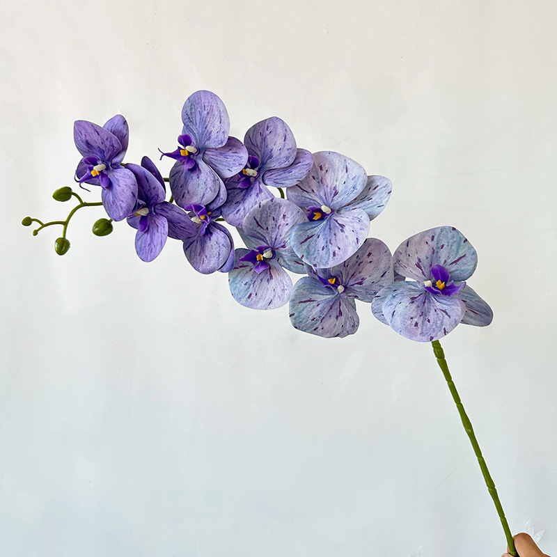 Orchidée Phalaenopsis 3D à 9 têtes, bleu clair