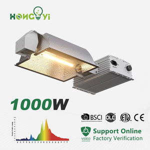 ホット1000W HPSバラストIP65 COB <span class=keywords><strong>LED</strong></span>チップダブルエンド1000W HPS成長ライトキットブルーム用120-240V 208-277V 347V電球付き