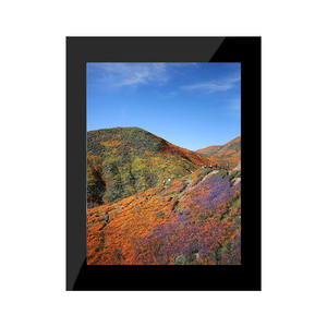 3,5-Zoll-TFT-LCD-Anzeigemodul 240*320 MCU SPI TFT-LCD-Bildschirm 3,5-Zoll-LCD-Anzeigemodul - Product Image 1