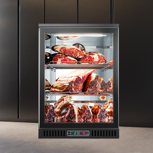 Đặc biệt cung cấp nhỏ gọn di động thịt bò bít tết khô lão hóa tủ lạnh cho Sushi cửa hàng thiết bị điện lạnh - Product Image 6