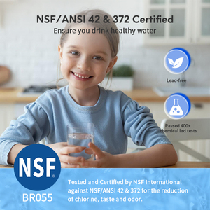 NSF401认证活性炭冰箱水过滤器塑料兼容惠而浦<span class=keywords><strong>W10295370A</strong></span>酸碱度水过滤器冰箱