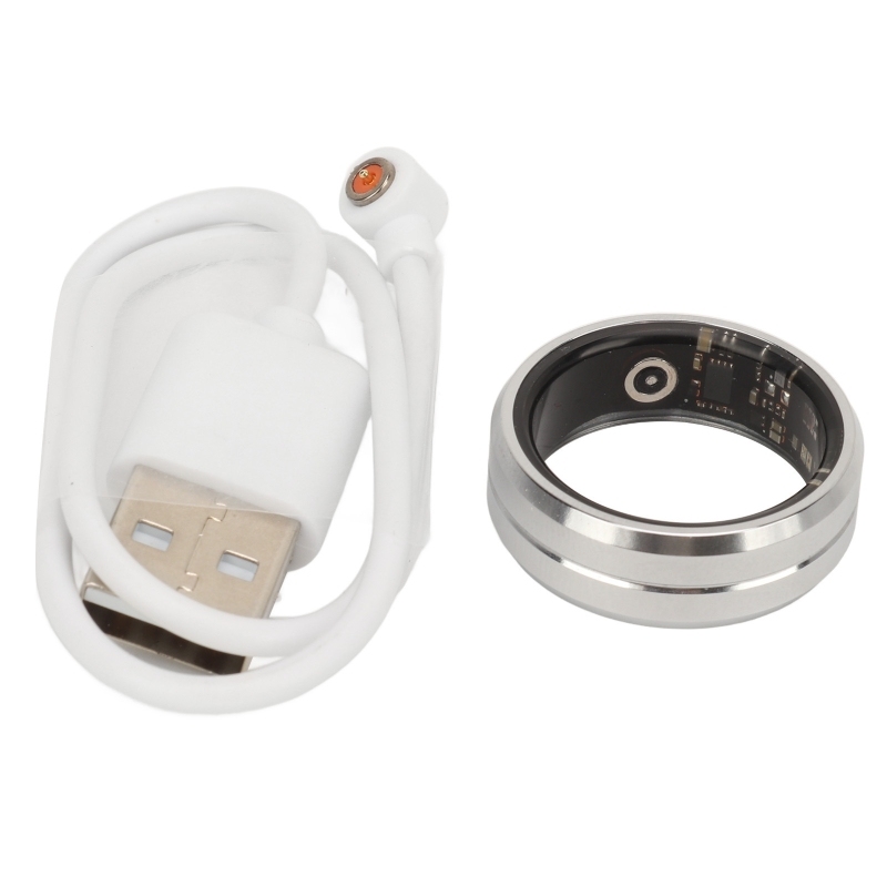 Argent + Câble de Charge