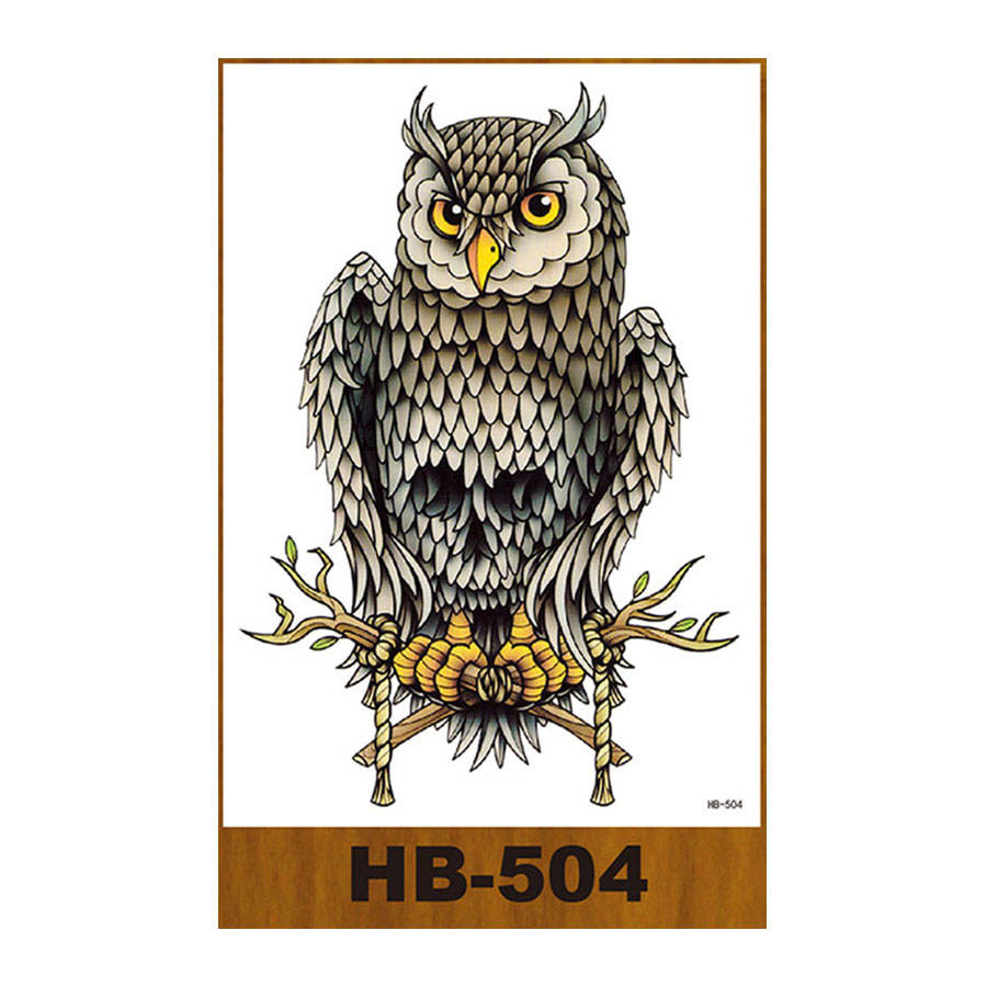 HB-504