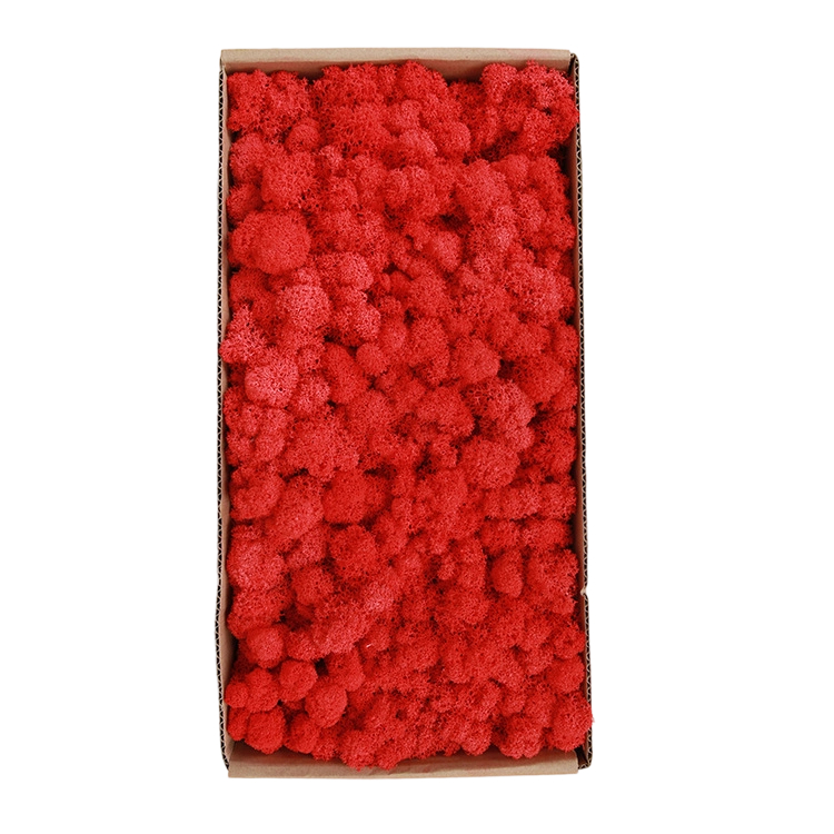 Bright Red 500g