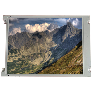 <span class=keywords><strong>TX13D04VM2CAA</strong></span> ЖК-панель 5,0 дюймов 640*480 абсолютно новый ЖК-дисплей экран для промышленности - Product Image 1