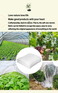 Мешок для выращивания растений - Product Image 6