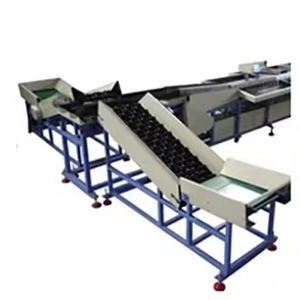<strong>Automated</strong> Tomato <strong>Sorting</strong> <strong>Machine</strong> Tomato Color <strong>Sorting</strong> <strong>Machine</strong> Washing <strong>Sorting</strong> Packing <strong>Machine</strong> for Fruits and Vegetables - Product Image 6