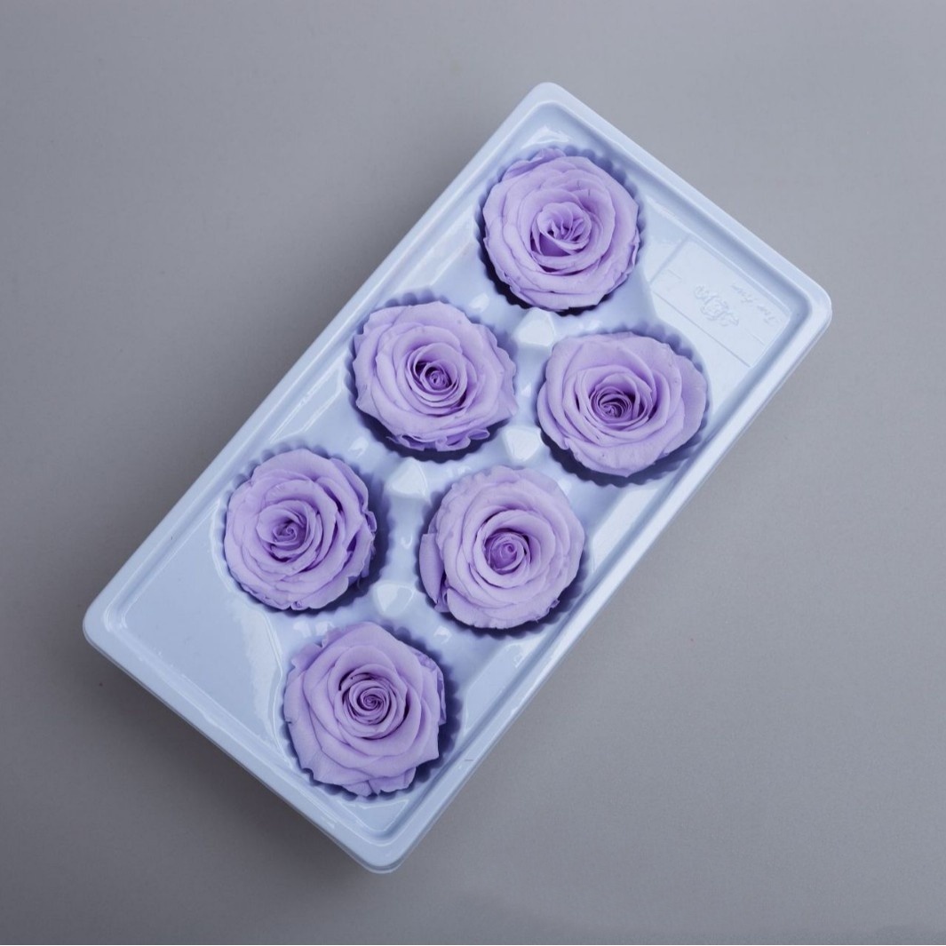 Lavender 5-6cm