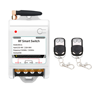 Telecomando Wireless a tensione larga 12V-48V 1 canale ON/OFF del ricevitore di casa intelligente codice di rotolamento per il pompaggio-sistemi remoti - Product Image 2