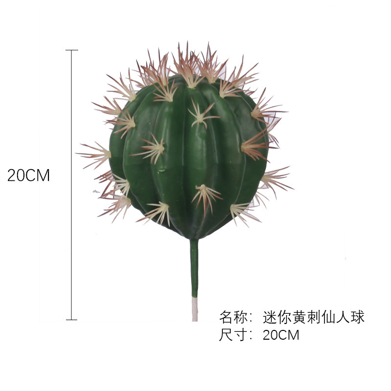SKU-10