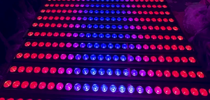 ไฟ LED 4in1 18/24ชิ้น1/2วัตต์เปลี่ยนสีได้สำหรับงานปาร์ตี้คอนเสิร์ตคลับกันน้ำเครื่องซักผ้าไฟ DJ ไลท์บาร์ - Product Image 3