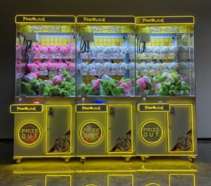 Máy Trò chơi giải trí hoạt động bằng tiền xu cho trẻ em Máy vuốt và trao đổi - Product Image 2