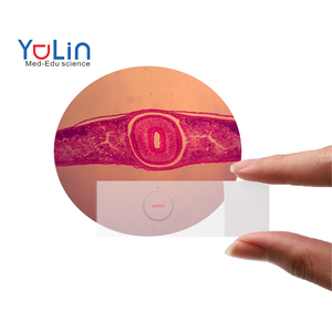 Hóa chất phòng thí nghiệm nhà cung cấp 5pcs thiết lập y sinh học nghiên cứu chuẩn bị Slide ba loại vi khuẩn smear Slide cây các loại Slide Kit - Product Image 1