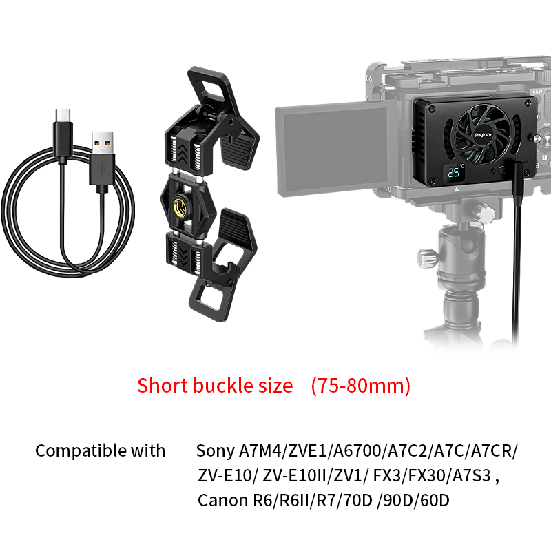 Short Buckle (Black)