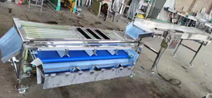 Fruit <strong>Sorting</strong> <strong>Machine</strong> Fruit Calibration <strong>Machine</strong> Electronic Fruit Weight Grading <strong>Sorting</strong> <strong>Machine</strong> - Product Image 2