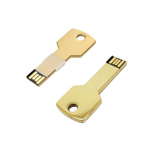 Metalls chl üssel USB-Stick 8GB 2.0 USB-Speichers tick Bulk Günstige Pen Drive Free Laser Logo - Product Image 5