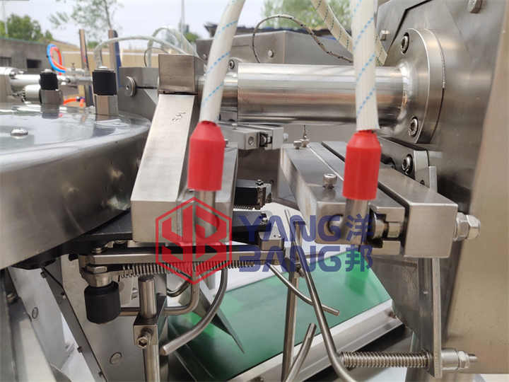 YB-210 Fully Automatic Multi-function Premade Bag Stand-up Pouch Packaging Dried Meat Biltong Beef Jerky Packing Machine