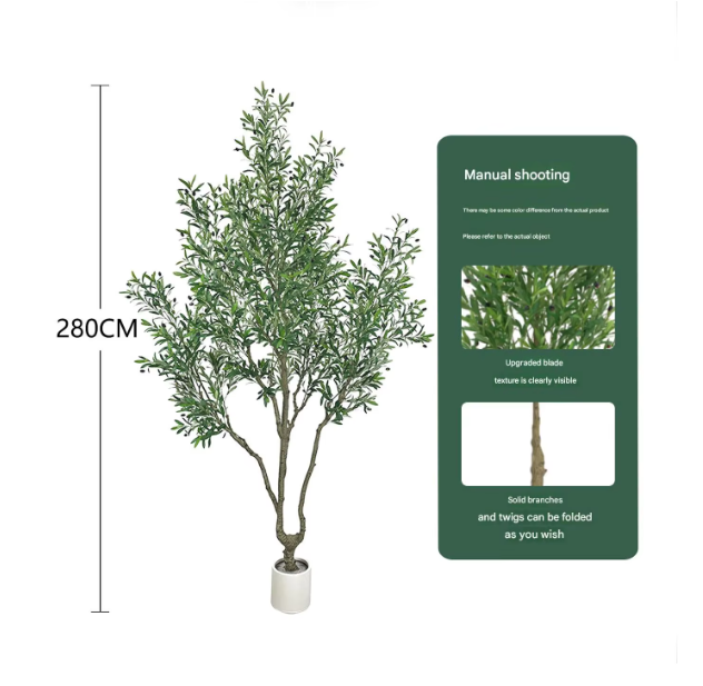 2.8m (augmentation de la densité d'olive géante type A) pot noir