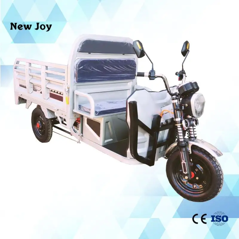 2024 disesuaikan DETRITUS 1000w 60v listrik tinggi roda tiga skuter listrik Triciclo untuk dewasa