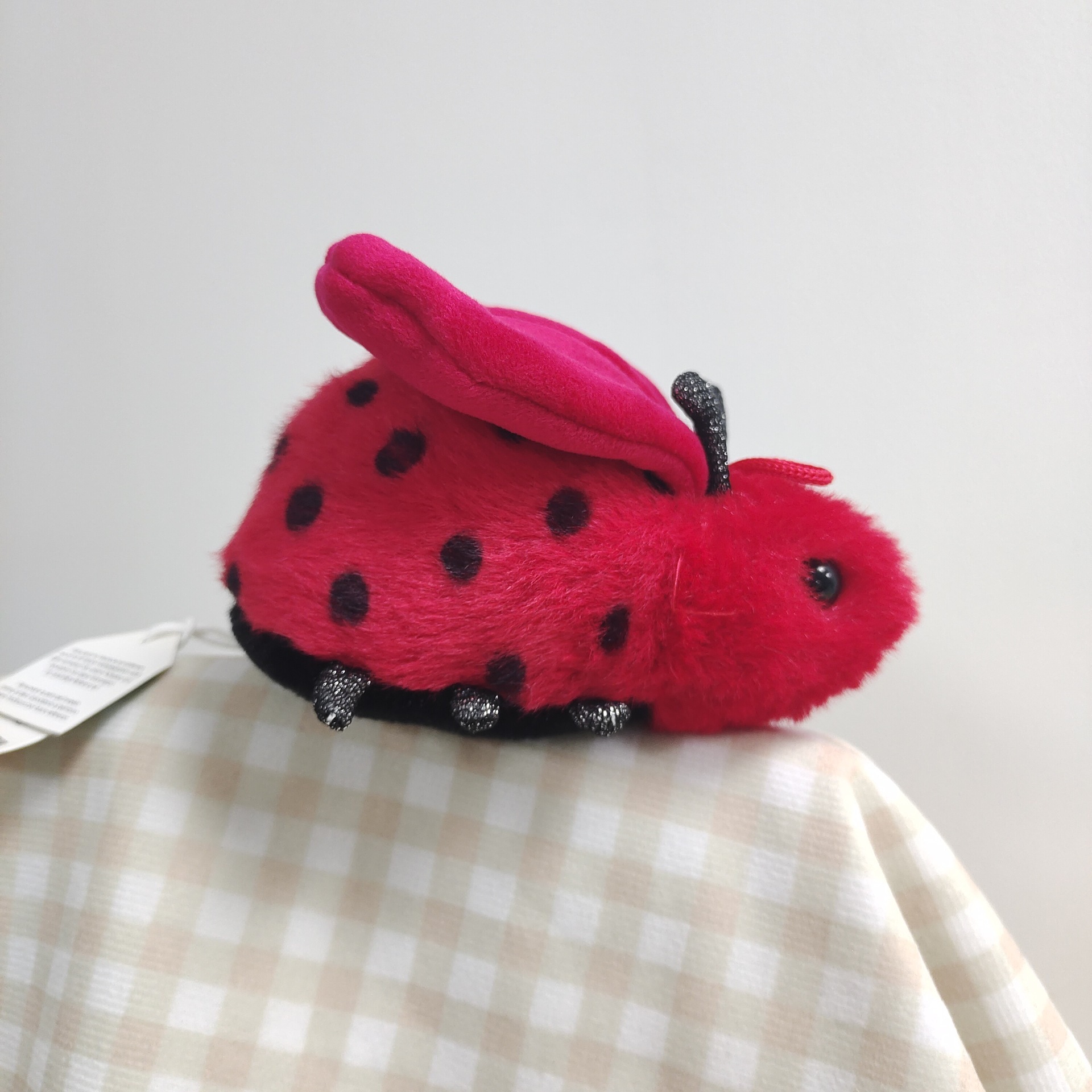 Coccinelle d'amour 8cm
