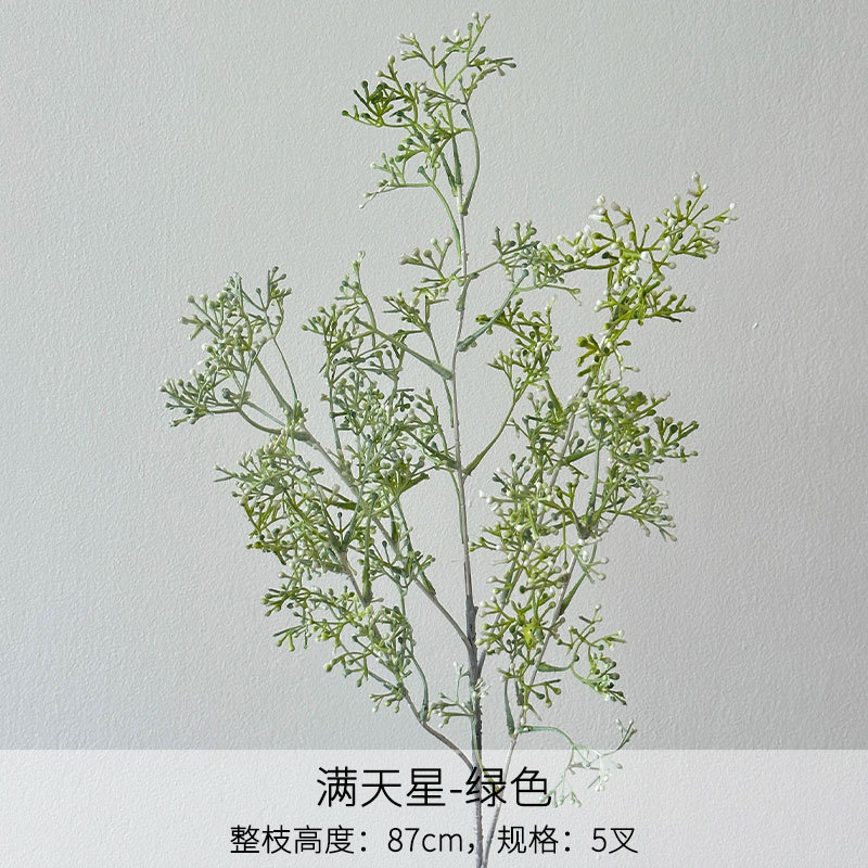 Herbe étoilée blanche et verte