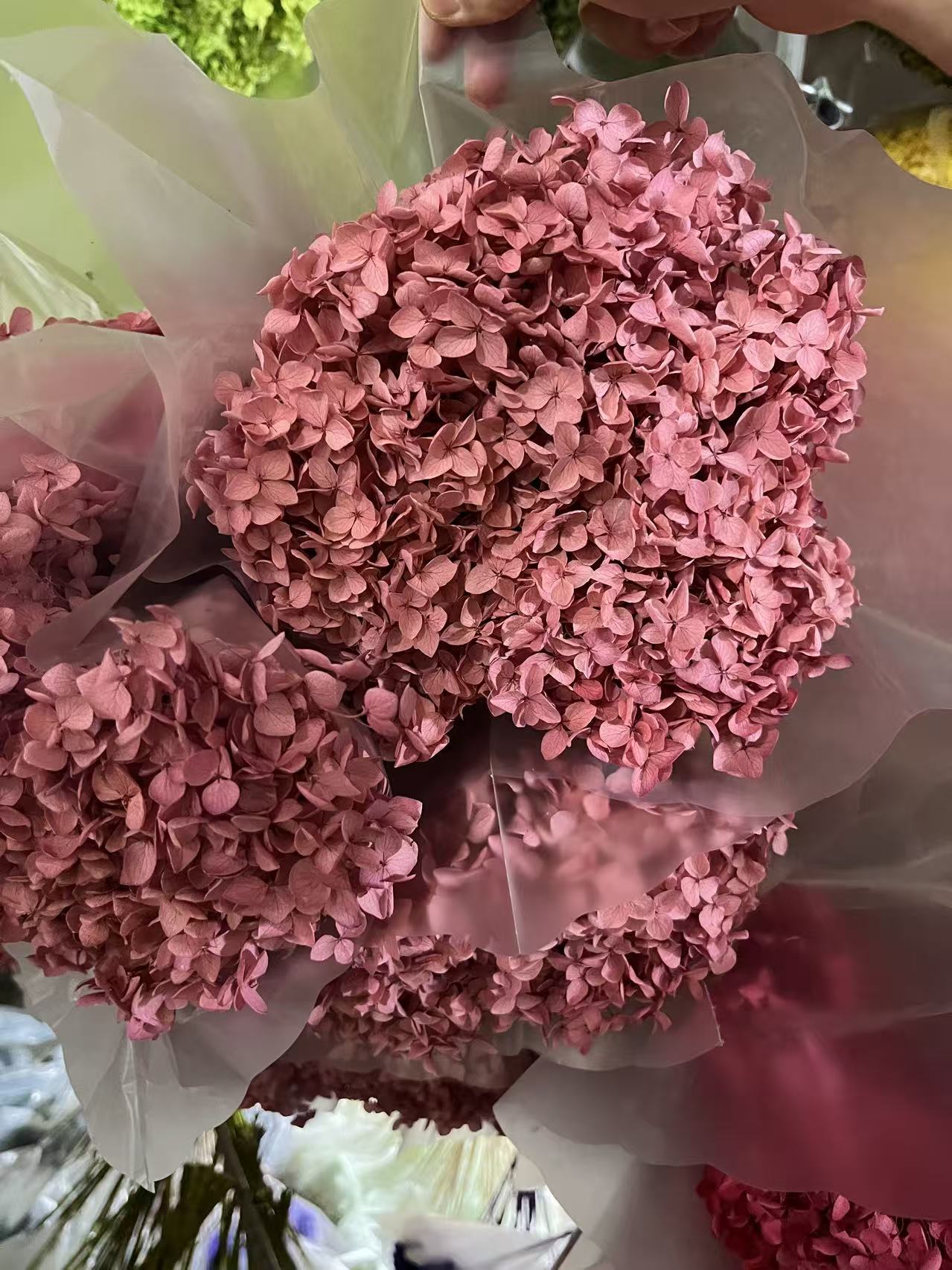 brick pink