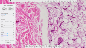 X7CAM4K8MPA 4K@ 72FPS USB3.0 Wireless Super High Speed <strong>Microscope</strong> Camera <strong>with</strong> Built-in <strong>Measurement</strong> <strong>Function</strong> - Product Image 6