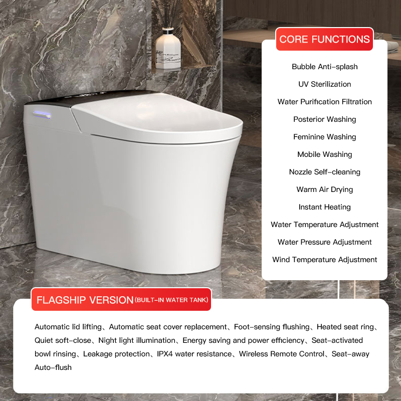 Black-Flagship Version