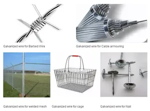 Dây Sắt Thép Mạ Kẽm 10 Thước Cho Dây Ràng Buộc Trong Vườn - Product Image 4