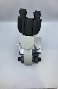 N101B立体实验室生物显微镜显微镜